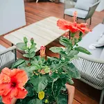 Romantic Roof Top Penthouse! Bbq And Priv. Pool